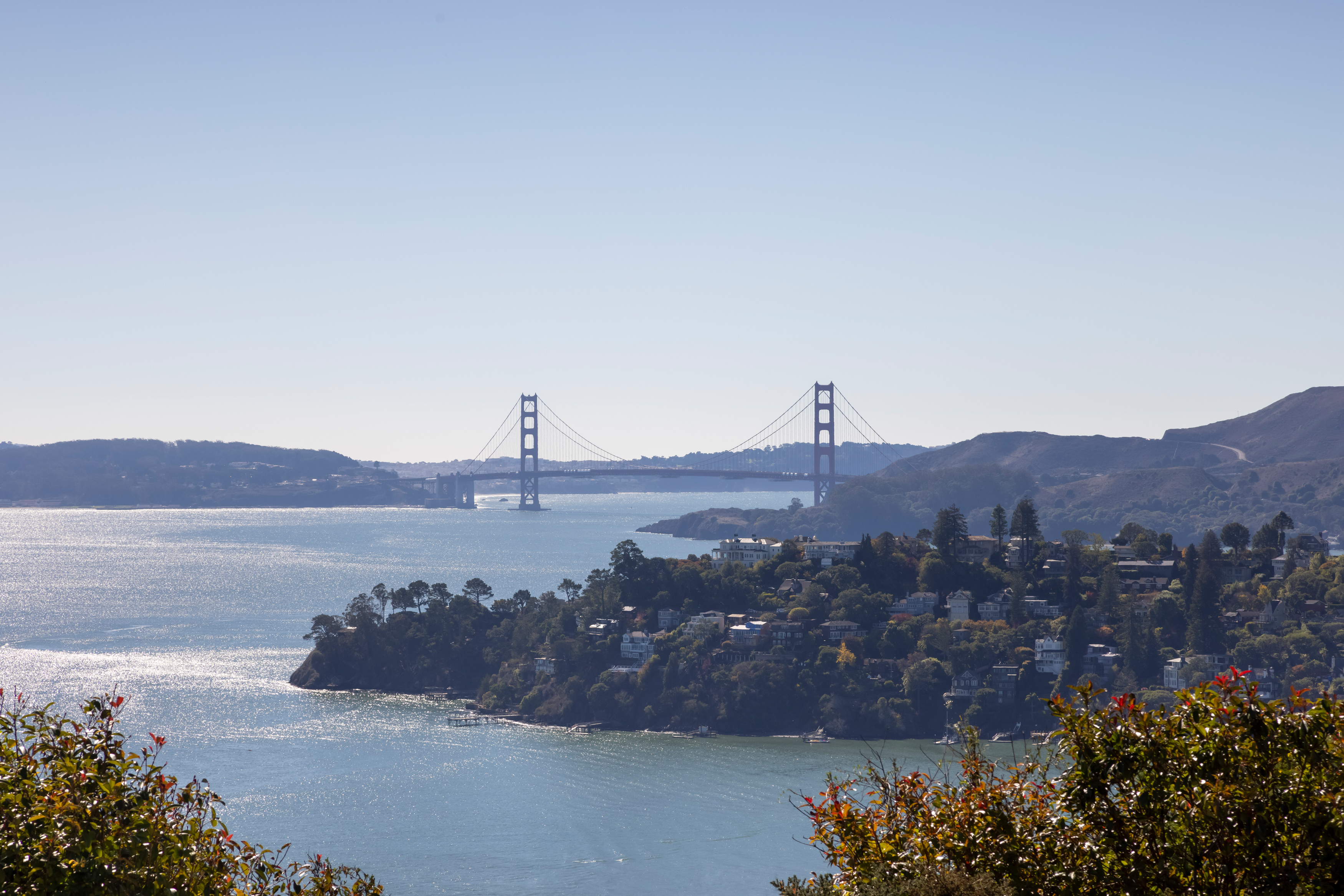 Pool with Golden Gate view